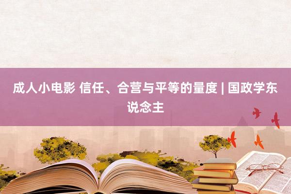 成人小电影 信任、合营与平等的量度 | 国政学东说念主