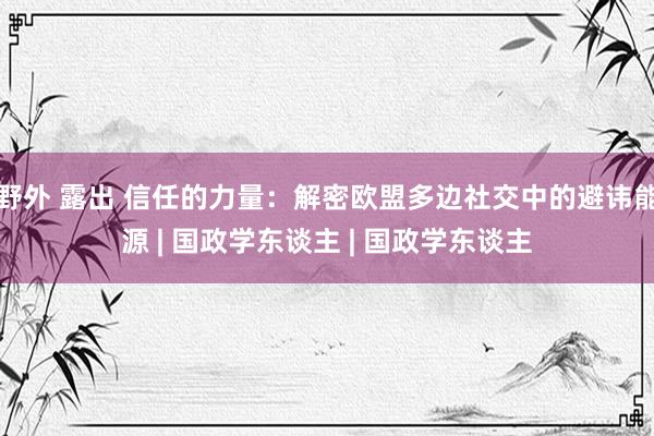 野外 露出 信任的力量：解密欧盟多边社交中的避讳能源 | 国政学东谈主 | 国政学东谈主