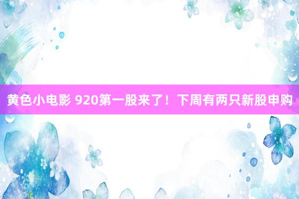 黄色小电影 920第一股来了！下周有两只新股申购