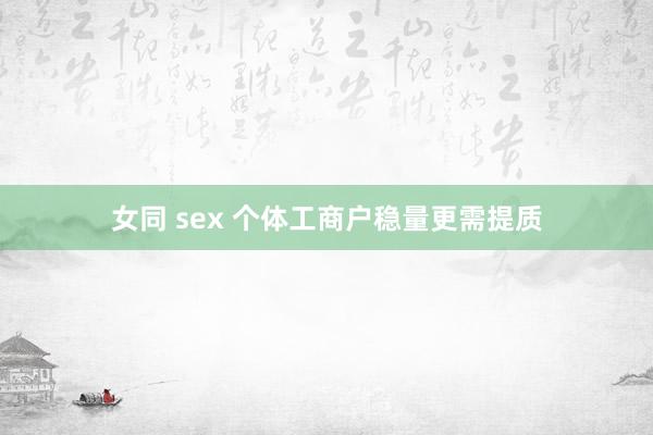 女同 sex 个体工商户稳量更需提质