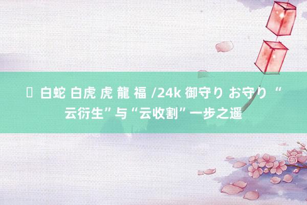 ✨白蛇 白虎 虎 龍 福 /24k 御守り お守り “云衍生”与“云收割”一步之遥