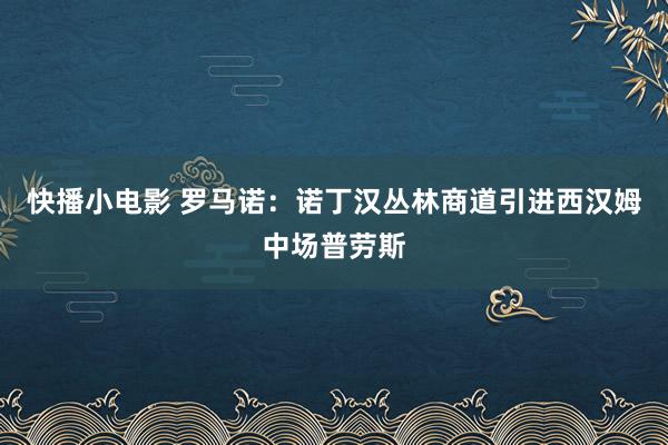 快播小电影 罗马诺：诺丁汉丛林商道引进西汉姆中场普劳斯