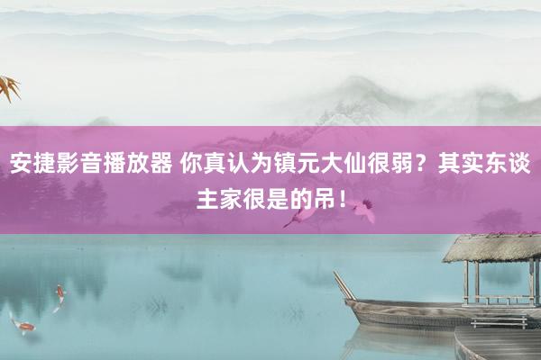 安捷影音播放器 你真认为镇元大仙很弱？其实东谈主家很是的吊！