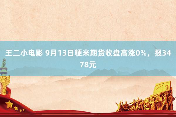 王二小电影 9月13日粳米期货收盘高涨0%，报3478元