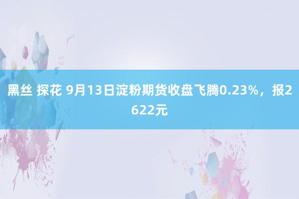 黑丝 探花 9月13日淀粉期货收盘飞腾0.23%，报2622元