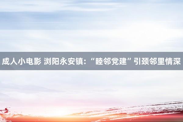 成人小电影 浏阳永安镇: “睦邻党建”引颈邻里情深