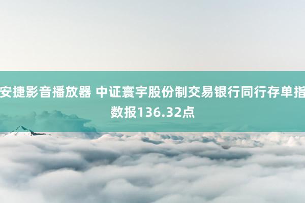 安捷影音播放器 中证寰宇股份制交易银行同行存单指数报136.32点