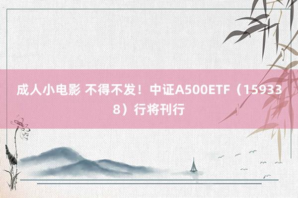 成人小电影 不得不发！中证A500ETF（159338）行将刊行