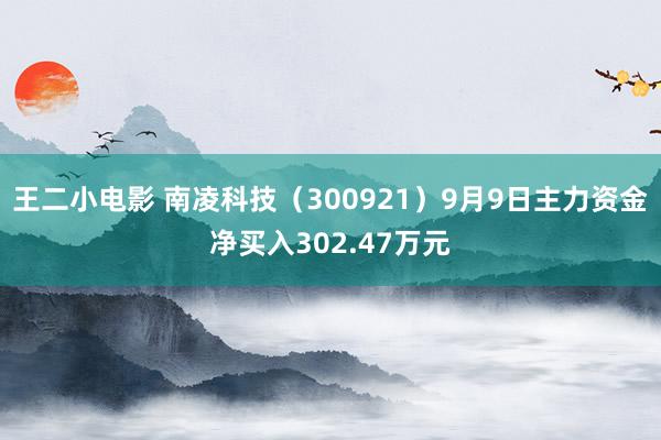 王二小电影 南凌科技（300921）9月9日主力资金净买入302.47万元