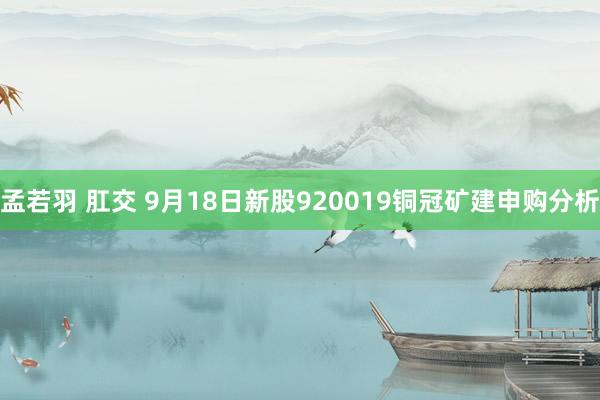 孟若羽 肛交 9月18日新股920019铜冠矿建申购分析