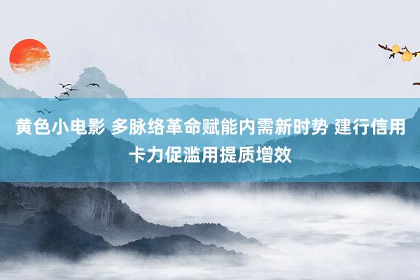 黄色小电影 多脉络革命赋能内需新时势 建行信用卡力促滥用提质增效