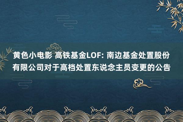 黄色小电影 高铁基金LOF: 南边基金处置股份有限公司对于高档处置东说念主员变更的公告