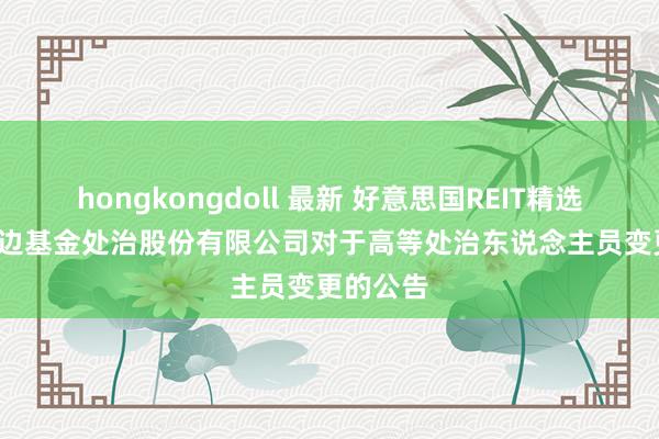 hongkongdoll 最新 好意思国REIT精选LOF: 南边基金处治股份有限公司对于高等处治东说念主员变更的公告