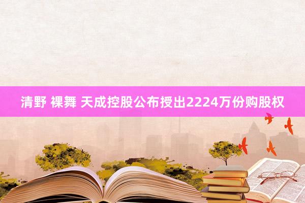 清野 裸舞 天成控股公布授出2224万份购股权