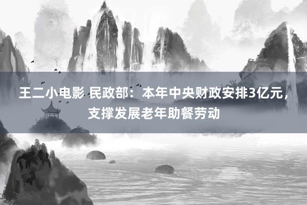 王二小电影 民政部：本年中央财政安排3亿元，支撑发展老年助餐劳动