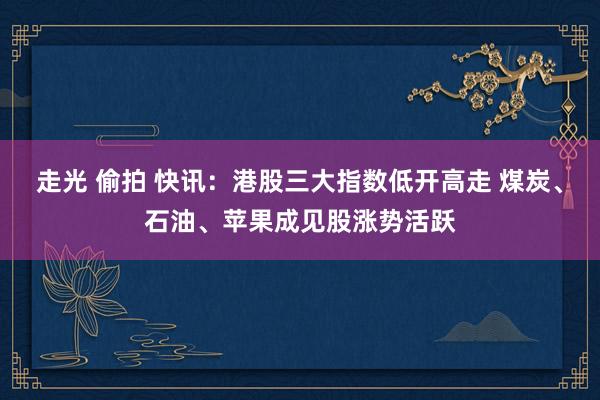 走光 偷拍 快讯：港股三大指数低开高走 煤炭、石油、苹果成见股涨势活跃