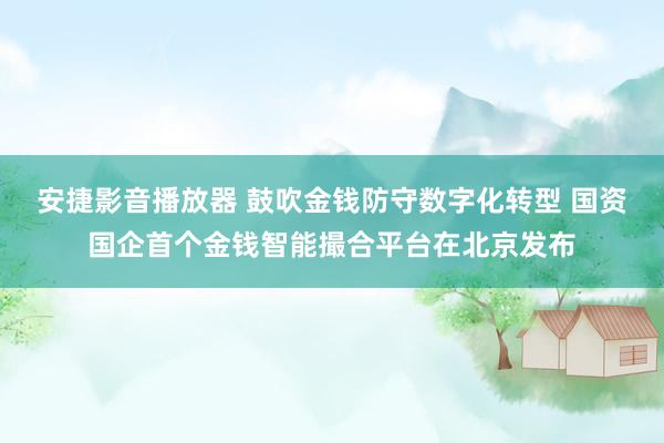 安捷影音播放器 鼓吹金钱防守数字化转型 国资国企首个金钱智能撮合平台在北京发布