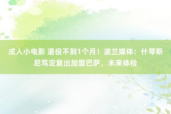 成人小电影 退役不到1个月！波兰媒体：什琴斯尼笃定复出加盟巴萨，未来体检