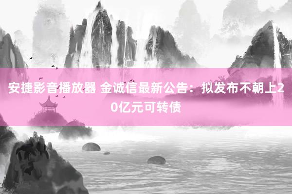 安捷影音播放器 金诚信最新公告：拟发布不朝上20亿元可转债