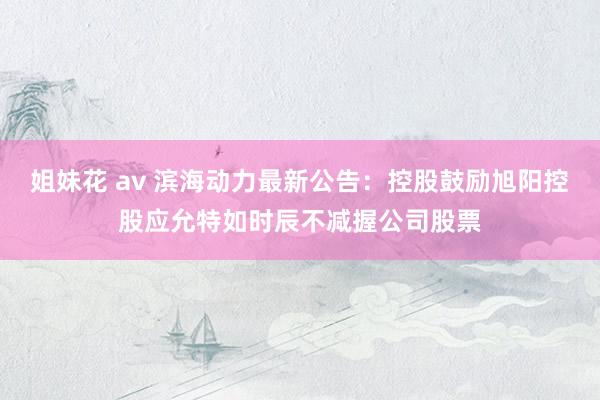 姐妹花 av 滨海动力最新公告：控股鼓励旭阳控股应允特如时辰不减握公司股票