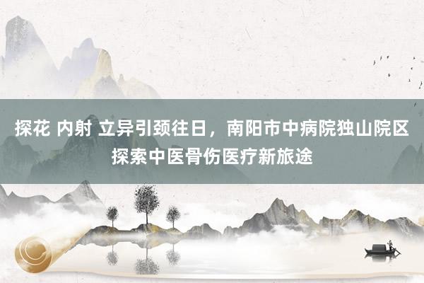 探花 内射 立异引颈往日，南阳市中病院独山院区探索中医骨伤医疗新旅途