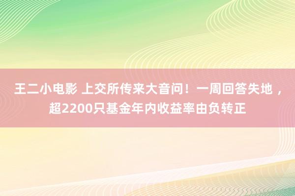 王二小电影 上交所传来大音问！一周回答失地 ，超2200只基金年内收益率由负转正