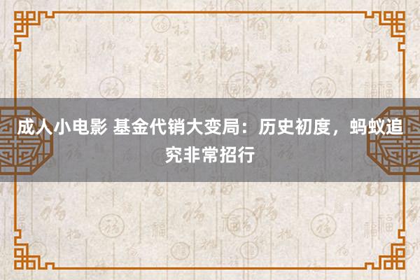 成人小电影 基金代销大变局：历史初度，蚂蚁追究非常招行