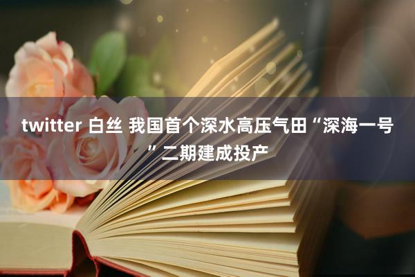 twitter 白丝 我国首个深水高压气田“深海一号”二期建成投产