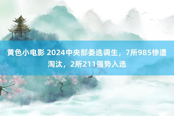 黄色小电影 2024中央部委选调生，7所985惨遭淘汰，2所211强势入选