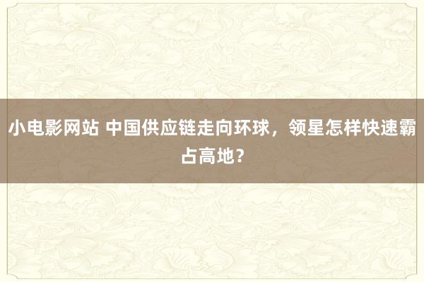 小电影网站 中国供应链走向环球，领星怎样快速霸占高地？