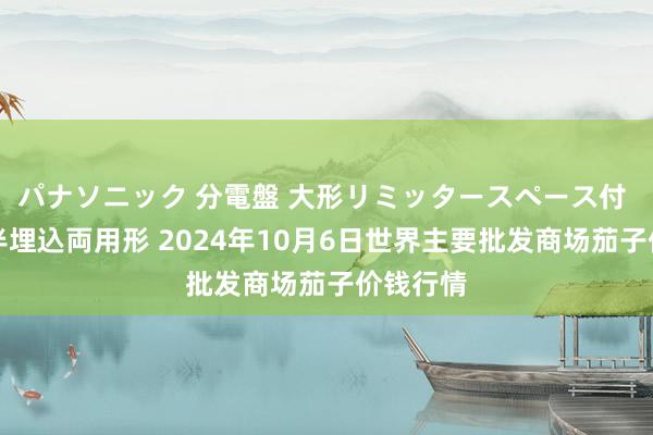 パナソニック 分電盤 大形リミッタースペース付 露出・半埋込両用形 2024年10月6日世界主要批发商场茄子价钱行情