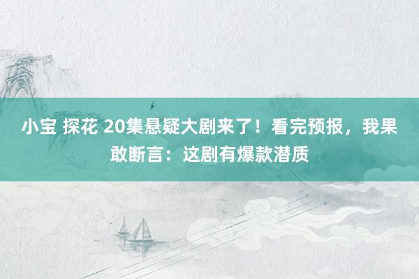 小宝 探花 20集悬疑大剧来了！看完预报，我果敢断言：这剧有爆款潜质