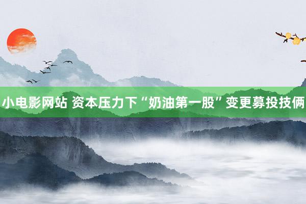 小电影网站 资本压力下“奶油第一股”变更募投技俩