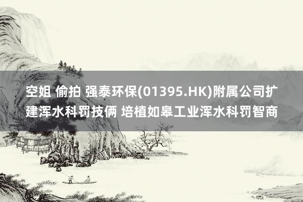 空姐 偷拍 强泰环保(01395.HK)附属公司扩建浑水科罚技俩 培植如皋工业浑水科罚智商