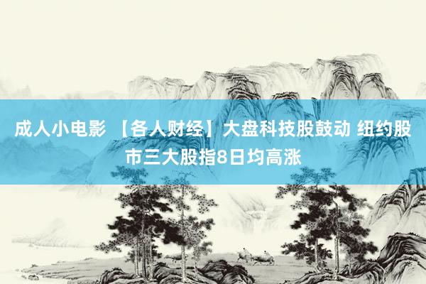 成人小电影 【各人财经】大盘科技股鼓动 纽约股市三大股指8日均高涨