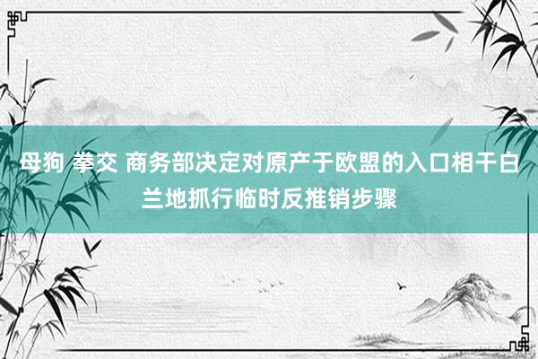 母狗 拳交 商务部决定对原产于欧盟的入口相干白兰地抓行临时反推销步骤