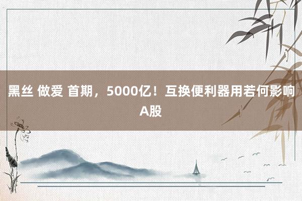 黑丝 做爱 首期，5000亿！互换便利器用若何影响A股