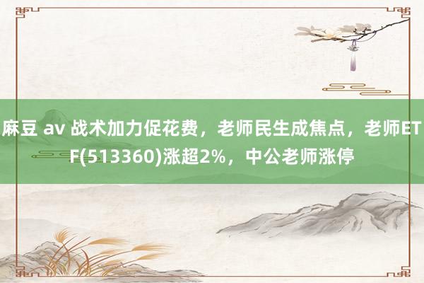 麻豆 av 战术加力促花费，老师民生成焦点，老师ETF(513360)涨超2%，中公老师涨停