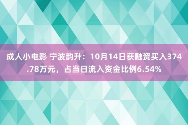 成人小电影 宁波韵升：10月14日获融资买入374.78万元，占当日流入资金比例6.54%