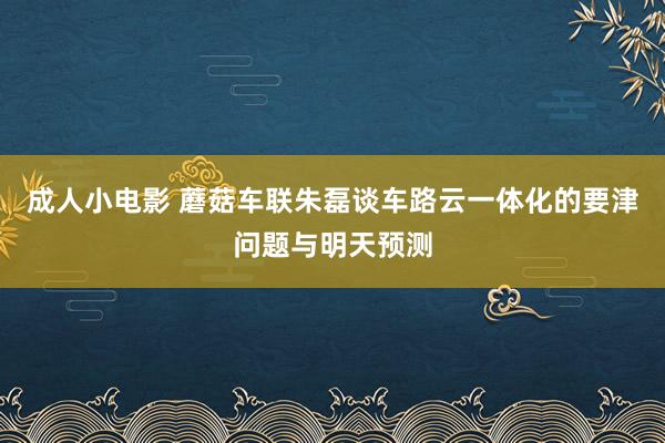 成人小电影 蘑菇车联朱磊谈车路云一体化的要津问题与明天预测