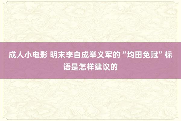 成人小电影 明末李自成举义军的“均田免赋”标语是怎样建议的