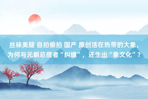 丝袜美腿 自拍偷拍 国产 原创活在热带的大象，为何与元朝总揽者“纠缠”，还生出“象文化”？