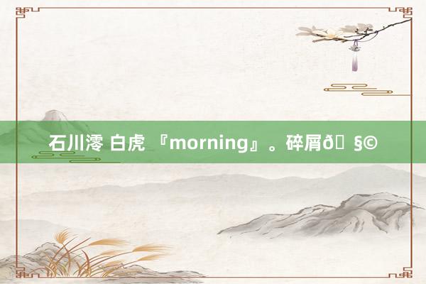 石川澪 白虎 『morning』。碎屑🧩