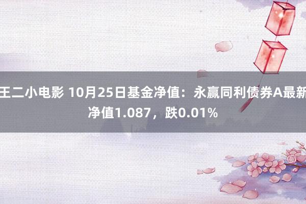 王二小电影 10月25日基金净值：永赢同利债券A最新净值1.087，跌0.01%