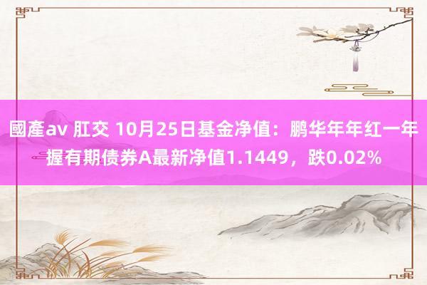 國產av 肛交 10月25日基金净值：鹏华年年红一年握有期债券A最新净值1.1449，跌0.02%