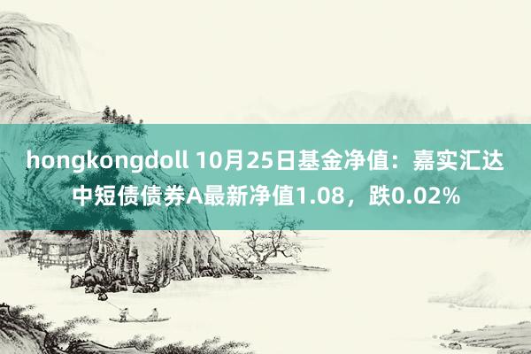 hongkongdoll 10月25日基金净值：嘉实汇达中短债债券A最新净值1.08，跌0.02%