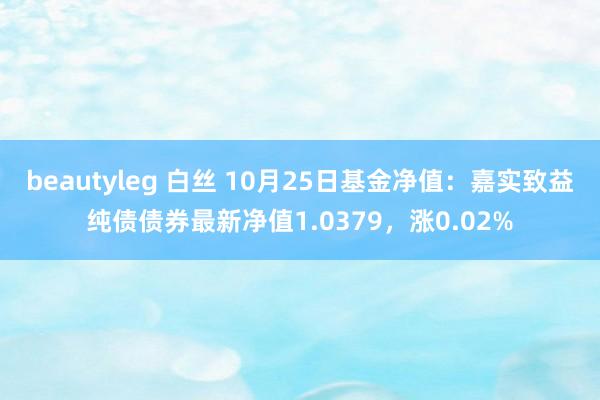 beautyleg 白丝 10月25日基金净值：嘉实致益纯债债券最新净值1.0379，涨0.02%