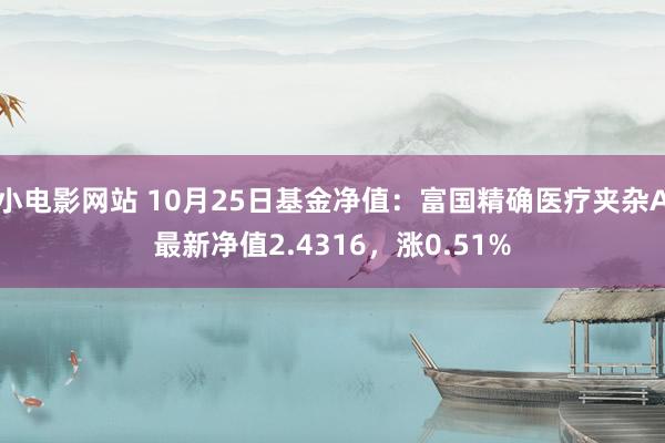 小电影网站 10月25日基金净值：富国精确医疗夹杂A最新净值2.4316，涨0.51%