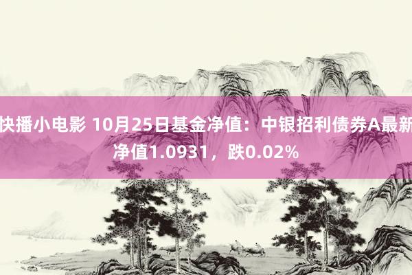 快播小电影 10月25日基金净值：中银招利债券A最新净值1.0931，跌0.02%