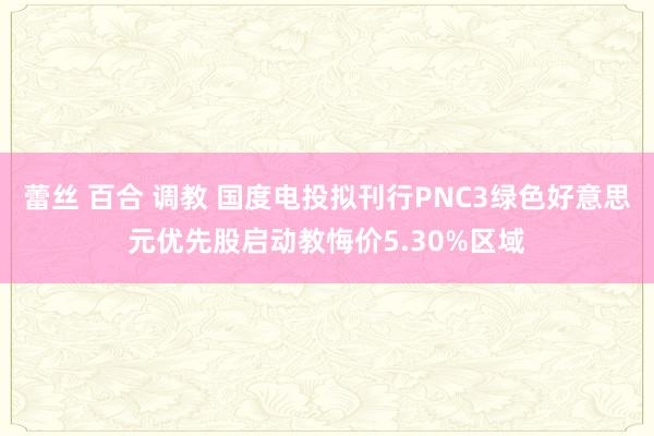 蕾丝 百合 调教 国度电投拟刊行PNC3绿色好意思元优先股启动教悔价5.30%区域